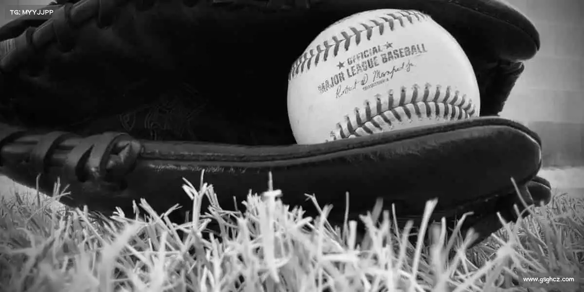 为什么选择我们